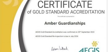 Amber Guardianships - Gold Certificate - 複製